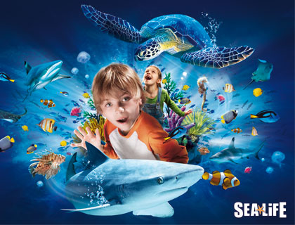 Pre booking. Alphaprints Sea Life.